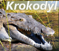 Krokodyl