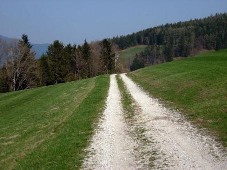 Vydali se tedy na cesty a hlásali, že je třeba se obrátit. Vydali se tedy na cesty a hlásali, že je třeba se obrátit.